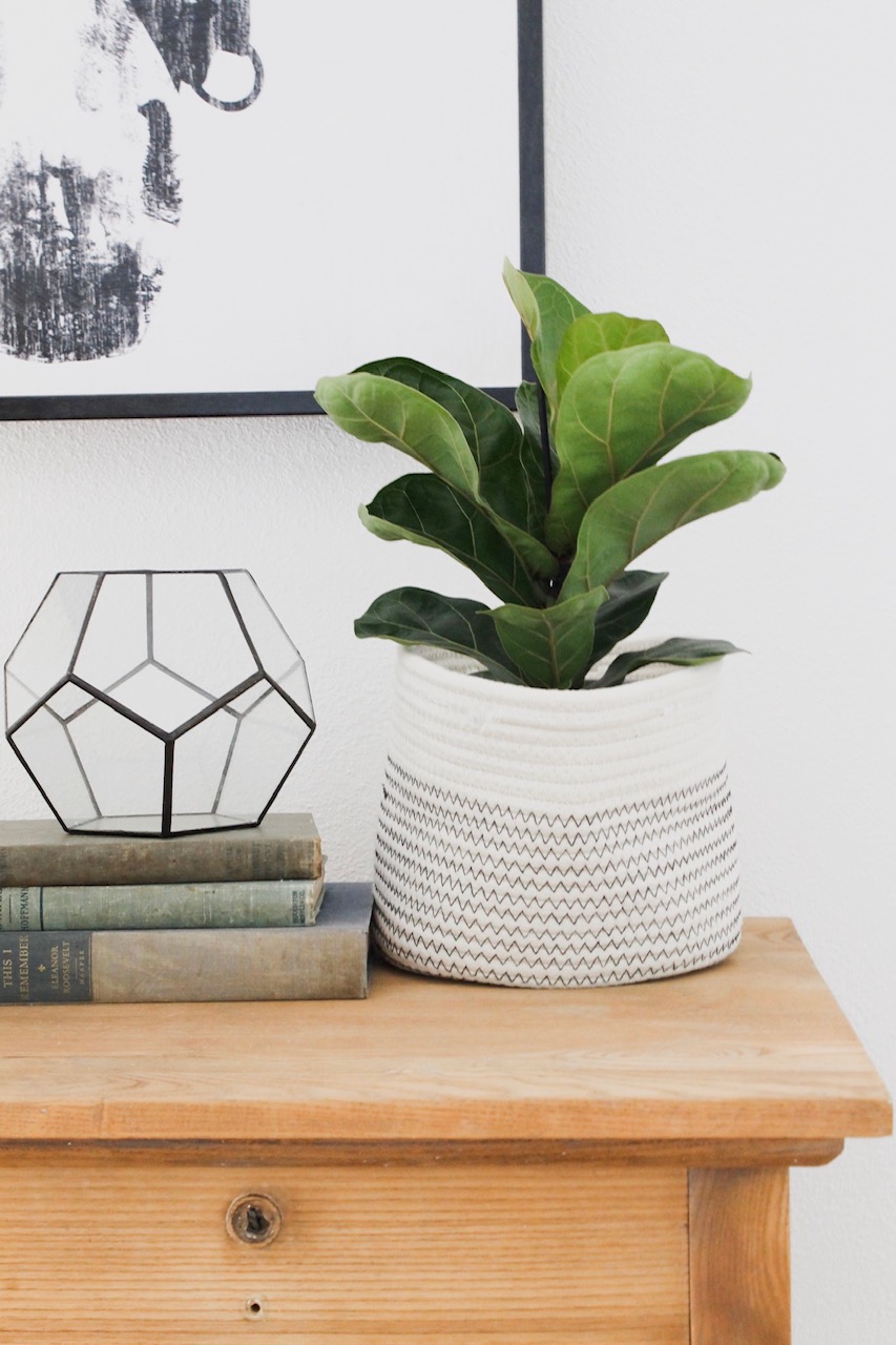 Best Interior Wall Paint Sherwin Williams vs Benjamin Moore allisa