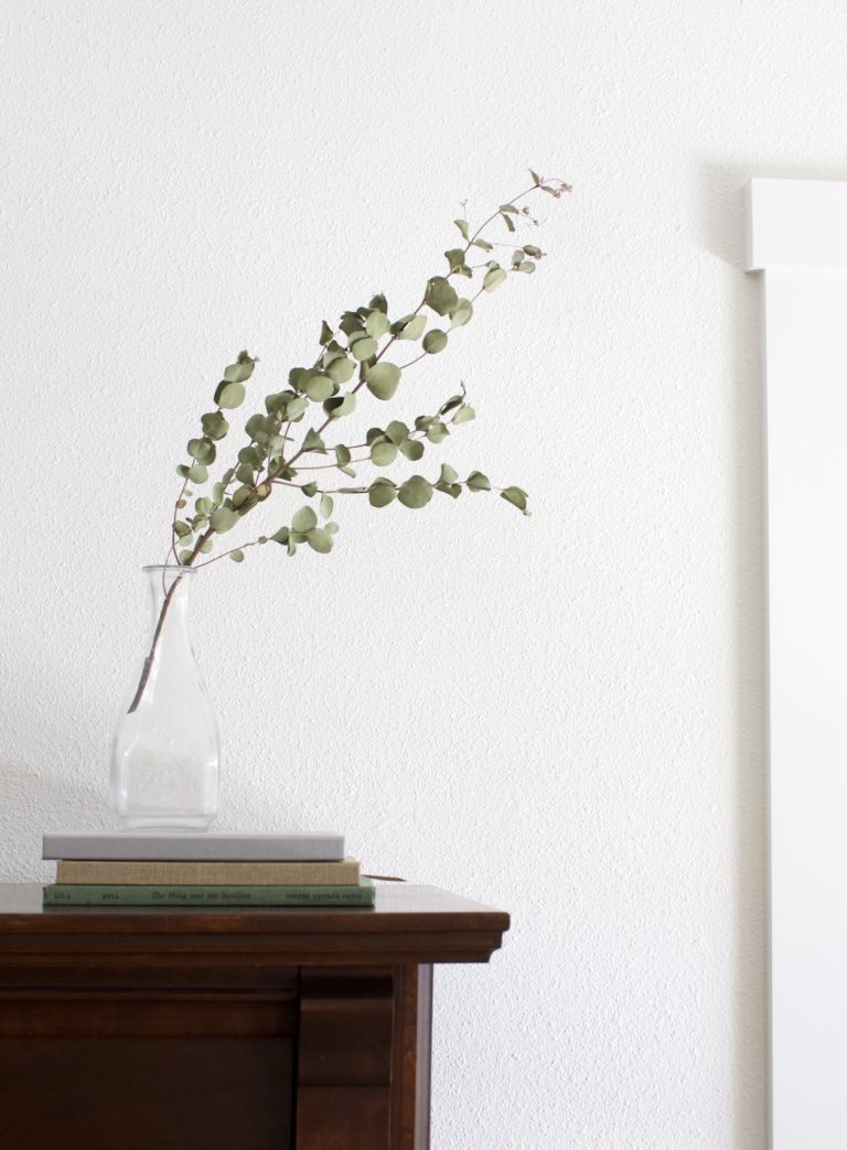 Mejor pintura de Pared Interior: Sherwin Williams vs Benjamin Moore