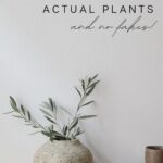 text: 4 ways to add greenery without actual plants